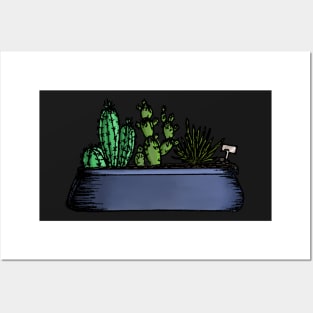 Succulent cactus house plants Posters and Art